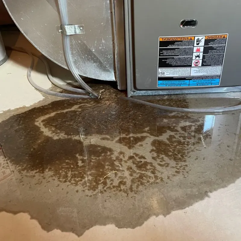 Pipe Burst and Leak Restoration in Larue County, KY