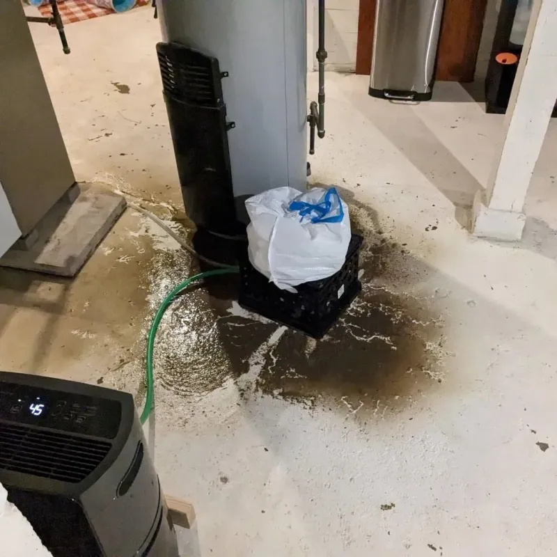 Sewage Backup Cleanup Service in Larue County, KY